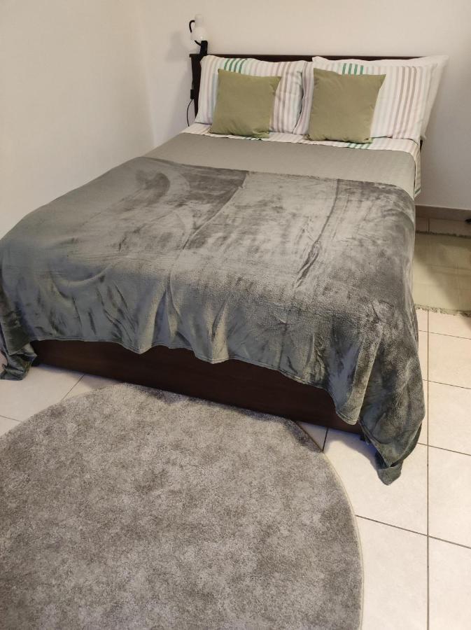 Appartamento Casa Dora - Terrazzo In Centro Torino Esterno foto